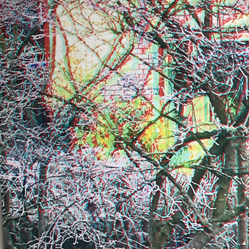 3D-RC Anaglyphe &raquo;HAUS HINTER DORNENHECKE&laquo;
