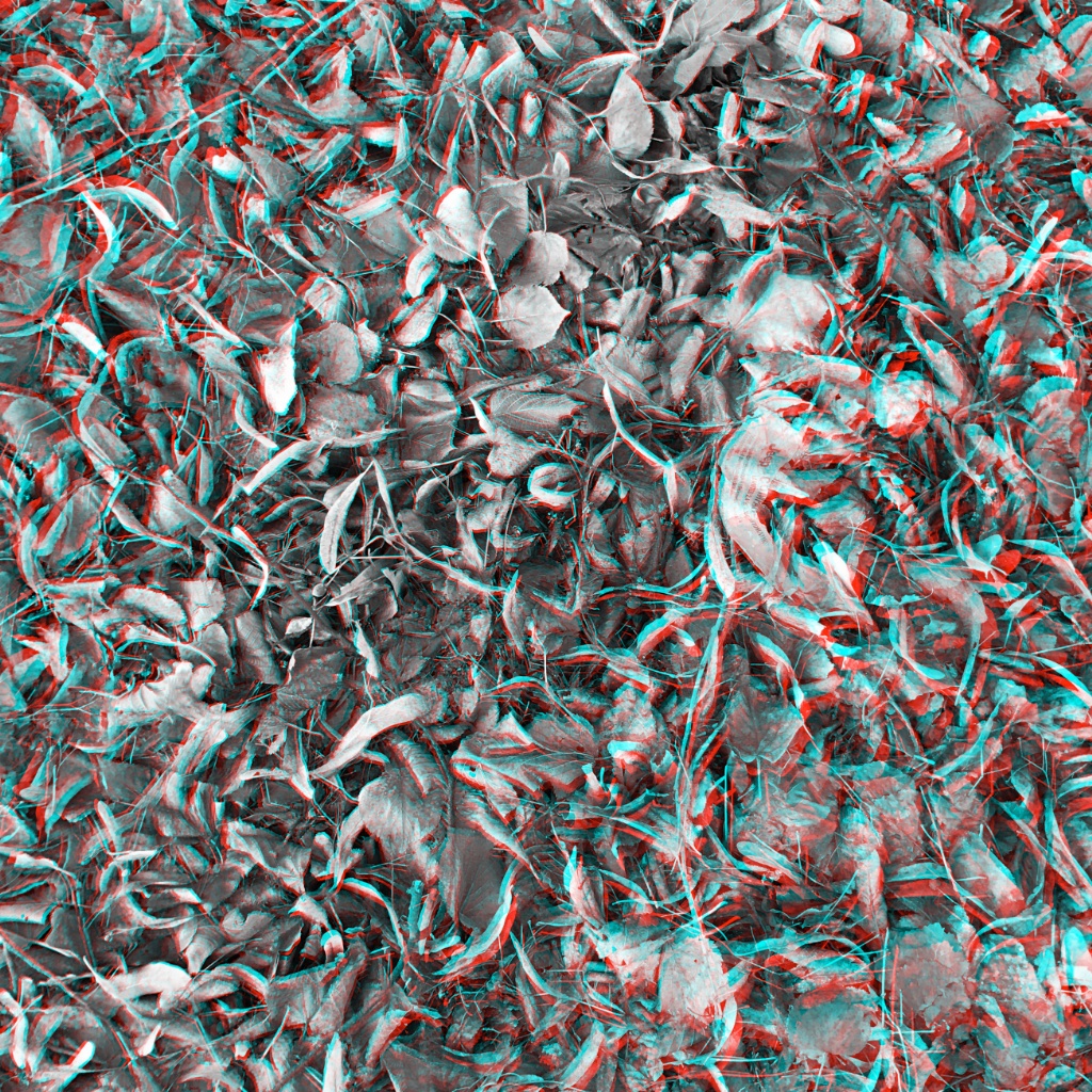 Grey Anaglyphe 07-2017: "BL&Auml;TTERWIRRNIS&quot