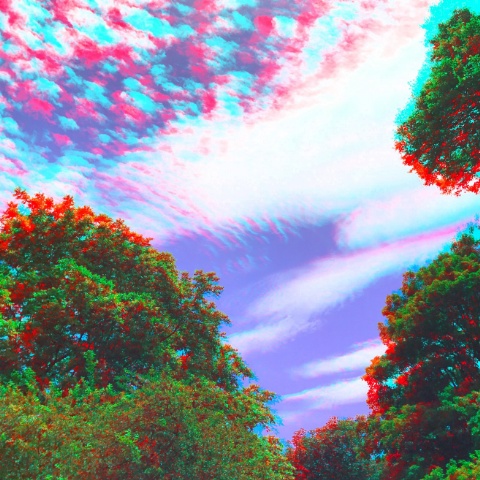 Anaglyphe 2017: B&Auml;UME UND HIMMEL (Diptychon R "WILDE FAHRT"), cardboard, 90 x 90 cm