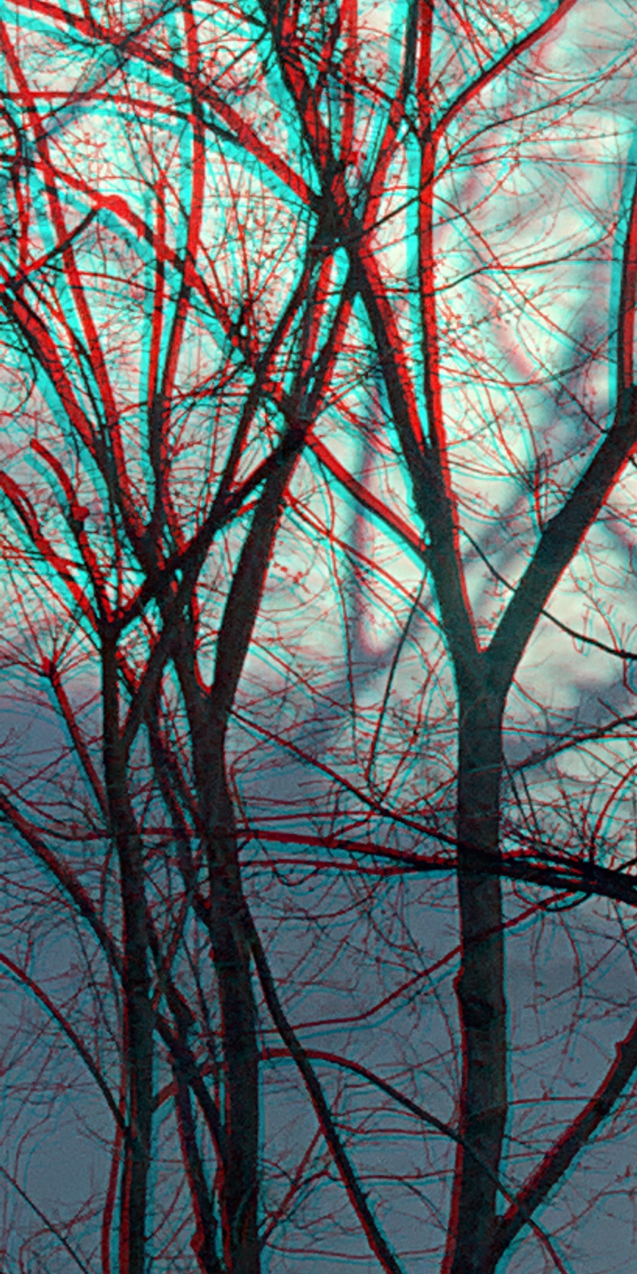 AAnaglyphe 02-2020-L: "FILIGRANER BAUMSCHATTEN, links" &copy;rbockberlin2020, canvas, 120x60 cm