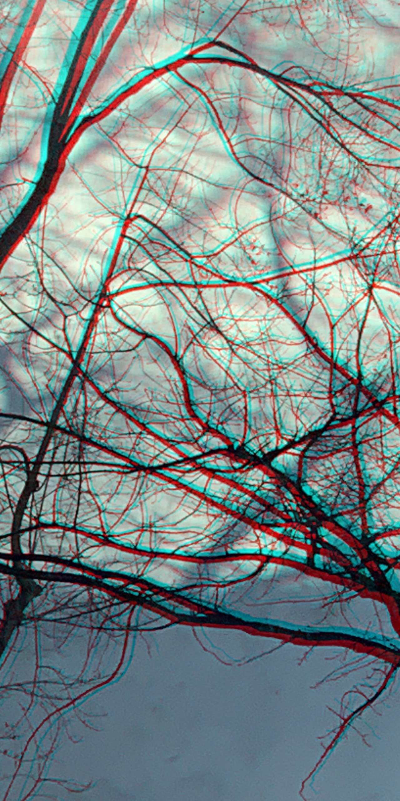 Anaglyphe 02-2020-R:"FILIGRANER BAUMSCHATTEN, links" &copy;rbockberlin2020, canvas, 120x60 cm
