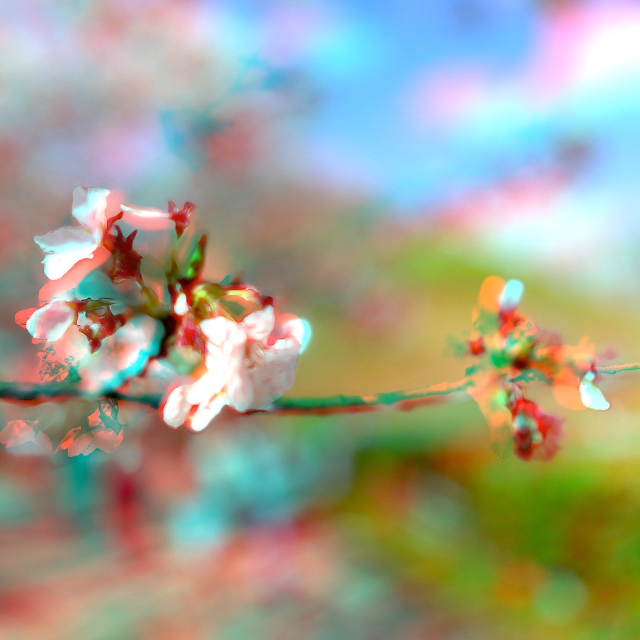 Anaglyphe-10-2021: "SAKITAMA-KIRSCHBL&Uuml;TE" &copy;rbockberlin2021, canvas, 120x120 cm