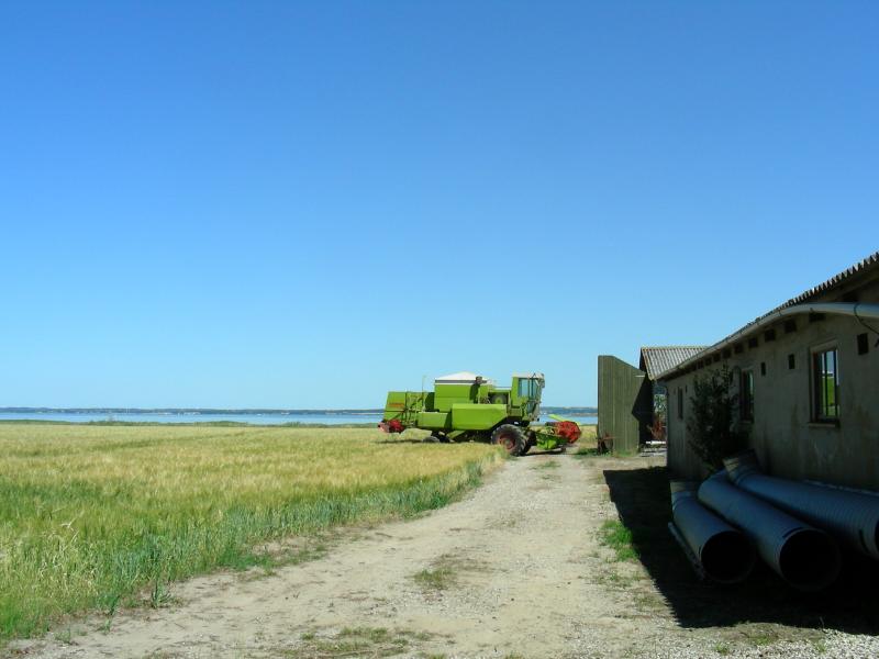 &raquo;M&auml;hdrescher&laquo; - NIKON S4