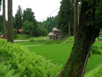 2007-01 &raquo;ECHIGO-HOUSE IN THE GREEN&laquo; 