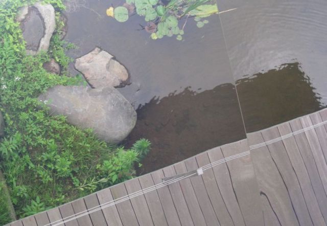 2007-09 &raquo;REFLECTIONS OF WATER AND GREENERY&laquo; 