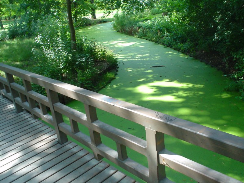 2008-07 &raquo;BRIDGE OVER GREEN&laquo; 