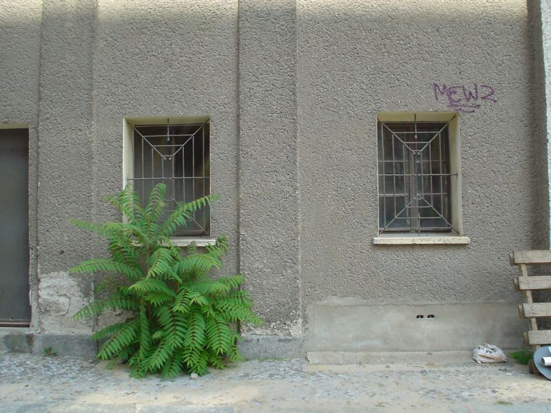 2009-11 &raquo;WACHSTUM&laquo; 