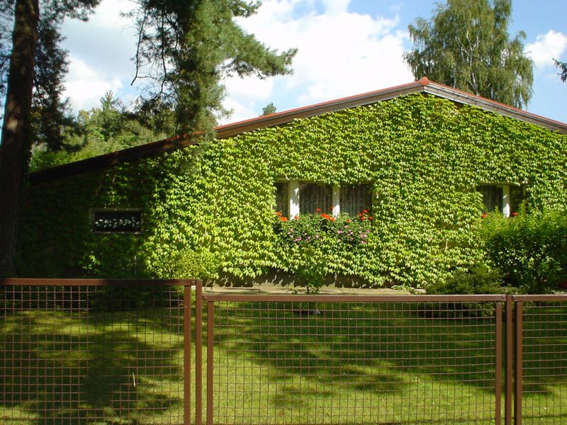 2009-12 &raquo;GR&Uuml;NES HAUS&laquo; 