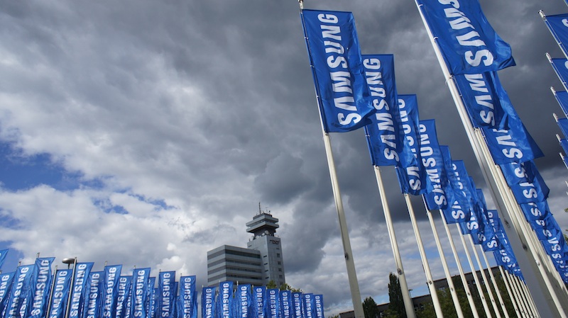 2010-06 &raquo;BLUE FLAGS - BLUE SKY&laquo; 