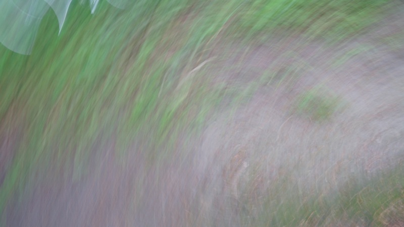 RC Anaglyphe 2012-02 &raquo;GR&Uuml;NER WISCH&laquo; 