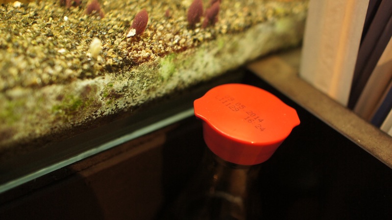 RC Anaglyphe 2012-03 &raquo;SOJASO&szlig;ENFLASCHENKAPPE&laquo; 