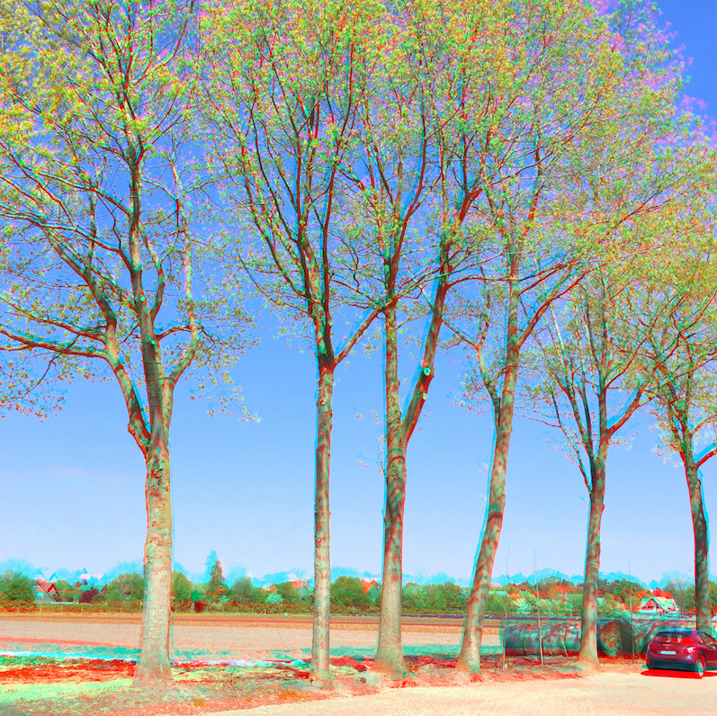 2016-02 &raquo;BAUMREIHE IM MAI&laquo;