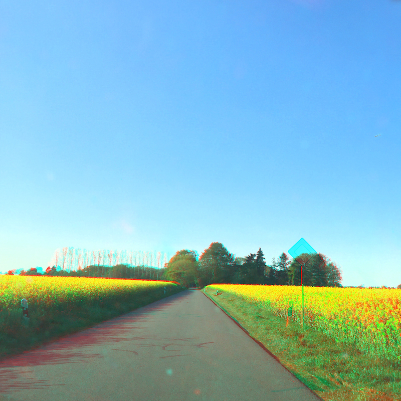 2016-05 &raquo;STRA&szlig;E DURCH RAPSFELDER&laquo; 