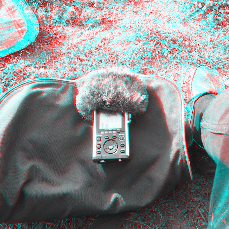 2016-11 &raquo;FIELD RECORDING&laquo; 