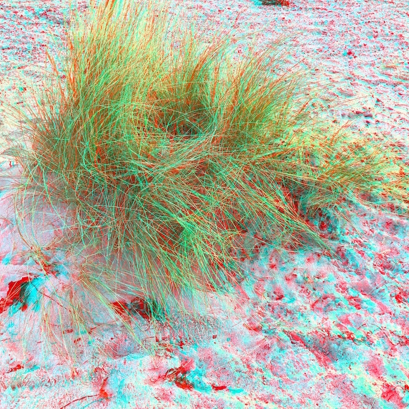 2016-14 &raquo;STRANDGRAS&laquo; 