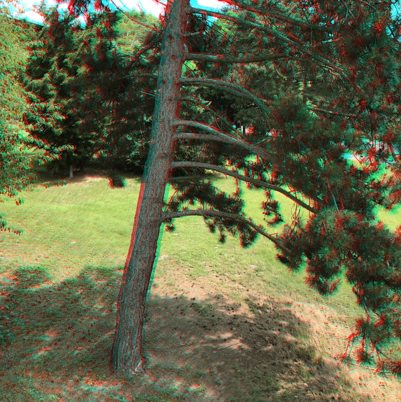 2017-01 &raquo;KASSELER KIEFER&laquo; 