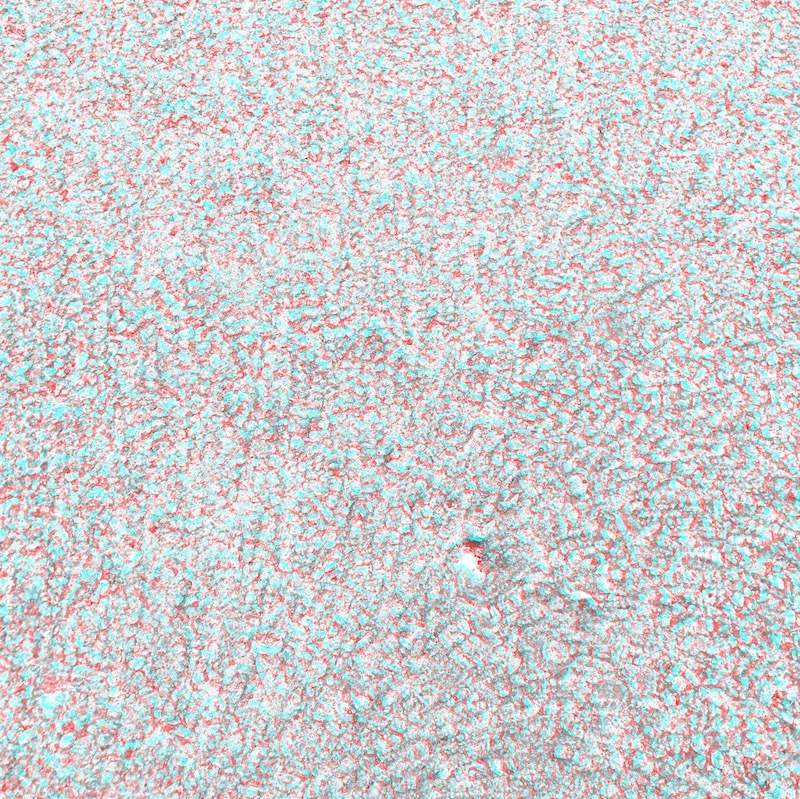 2017-05 grey anaglyphe &raquo;KIES&laquo; 