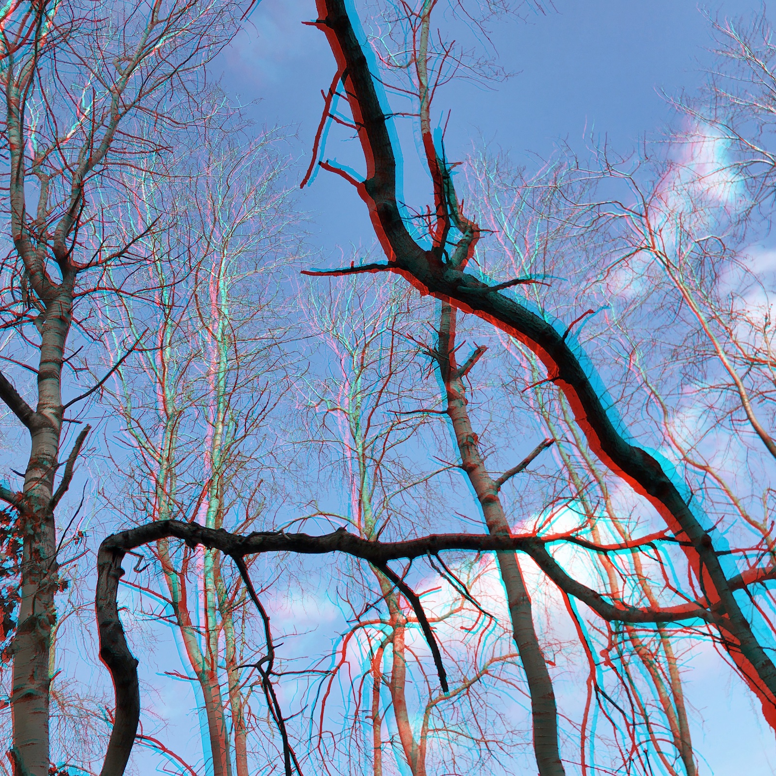 2018-02 - RC Anaglyphe &raquo;DANCING TREES&laquo;