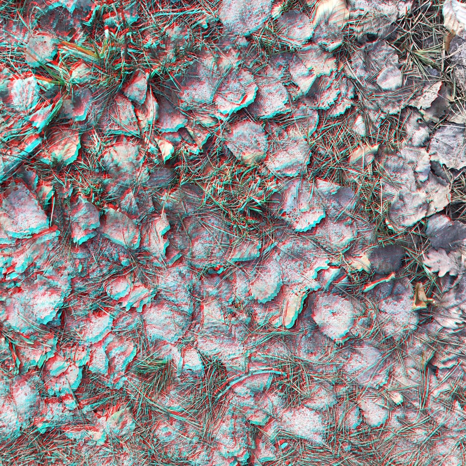 2018-04 - RC Anaglyphe &raquo;LEHMBL&Auml;TTER 5&laquo;