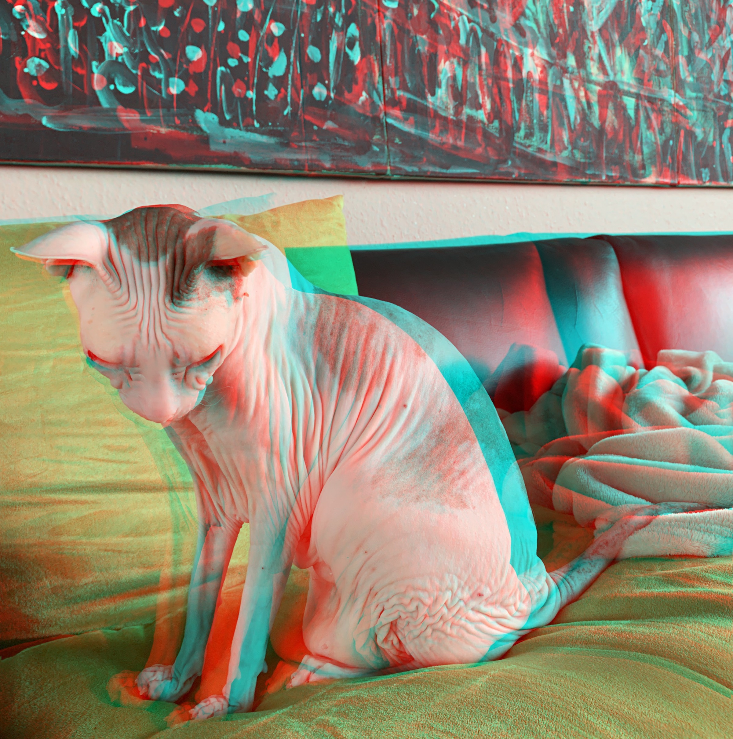 2019-02 - RC Anaglyphe &raquo;NACKTKATZE&laquo;