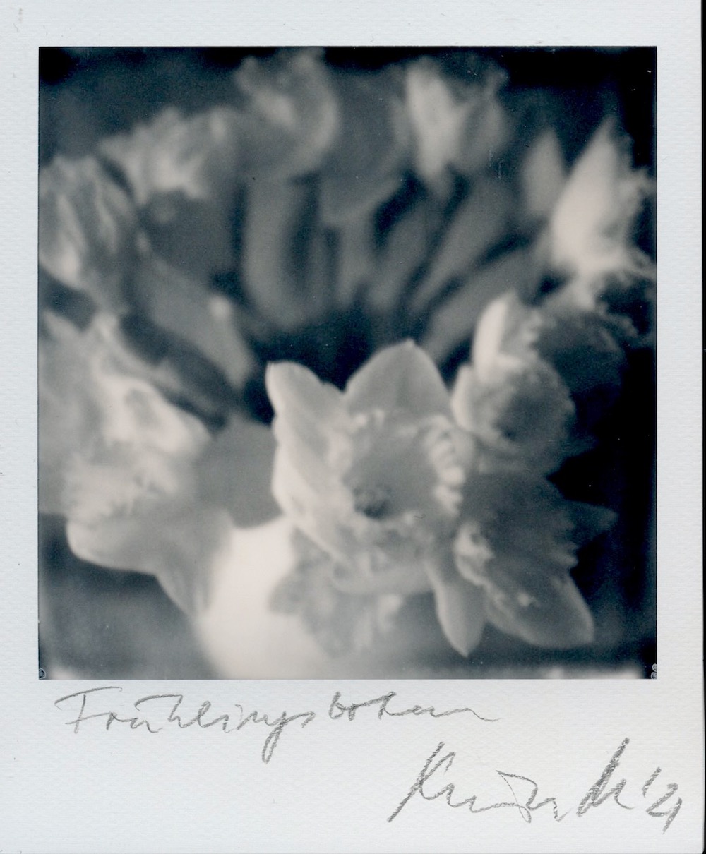 RC Anaglyphe 2021-06 &raquo;FR&Uuml;HLINGSBOTEN&laquo;