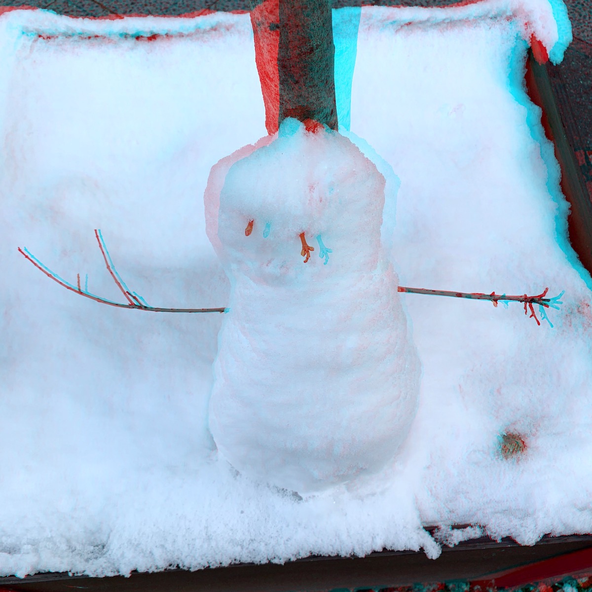 RC Anaglyphe 2021-02 &raquo;KLEINER SCHNEEMANN&laquo;