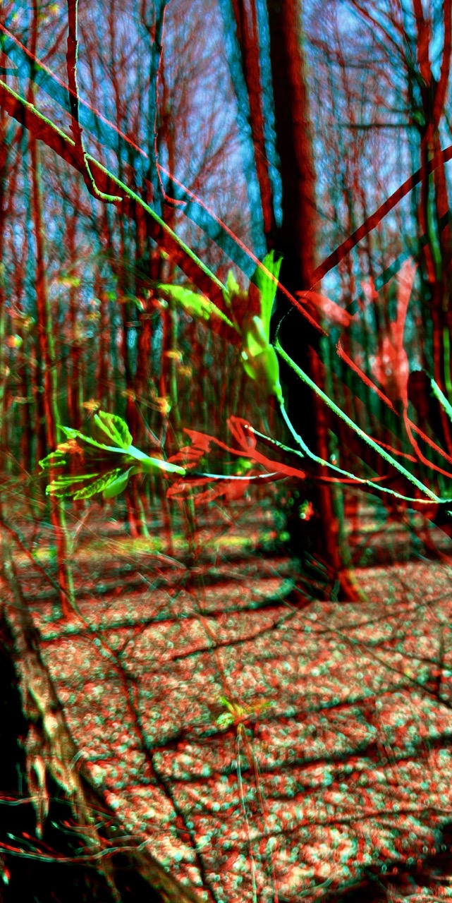 Anaglyphe 01A-2022: " FRÜHLING, left part" &copy;rbockberlin2022, canvas, 120x60 cm