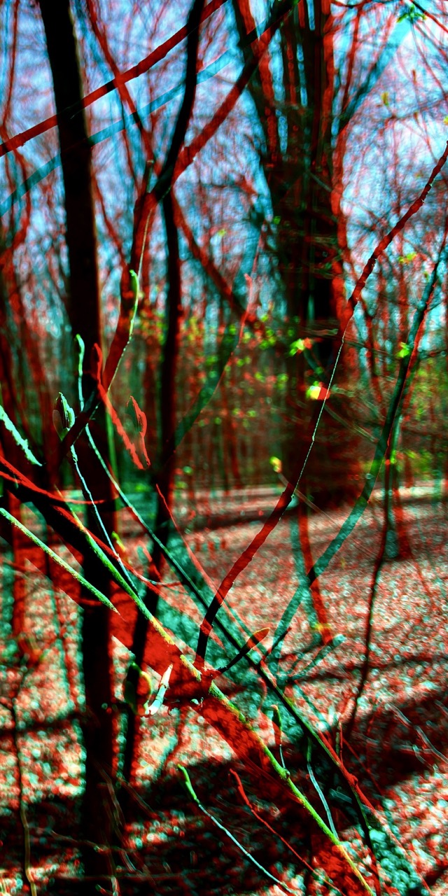 Anyglyphe 01B-2022: "FRÜHLING, right part" &copy;rbockberlin2022, canvas, 120x60 cm