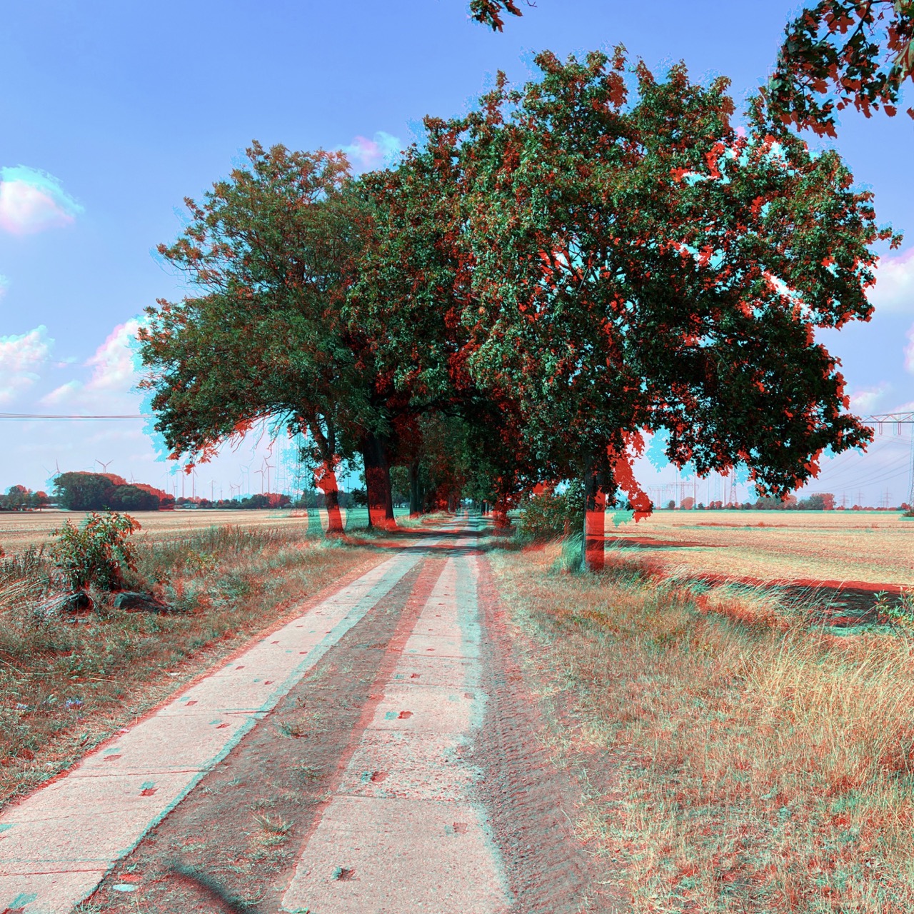 RC Anaglyphe 2022-Xx &raquo;LANDSTRAßE IN BRANDENBURG&laquo; 
