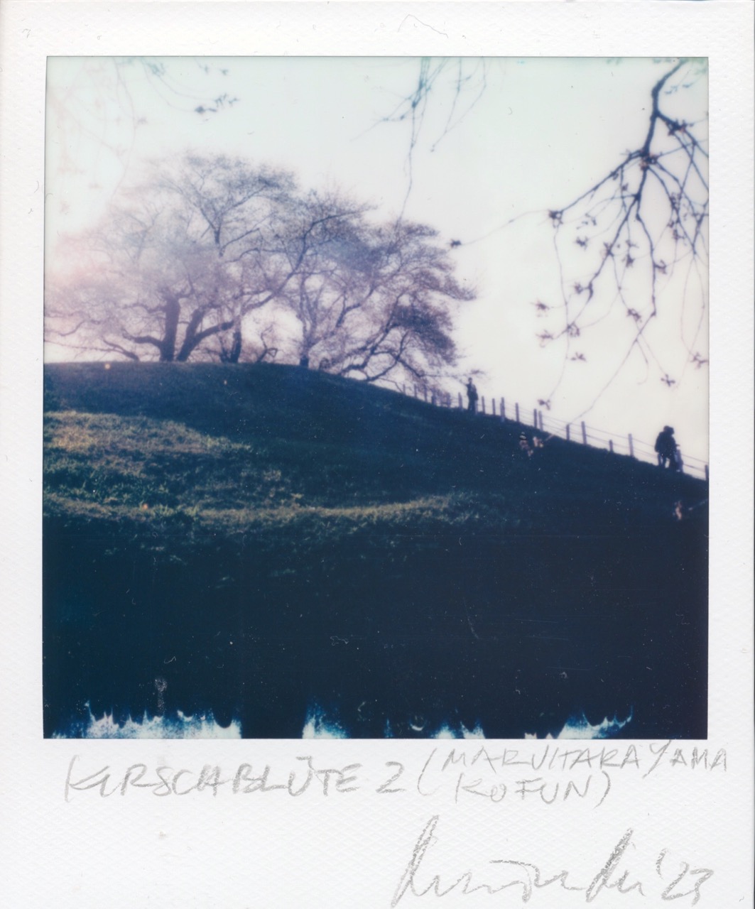 2023 - &raquo;KOFUN-KIRSCHBL&Uuml;TE&laquo; - SX70/Polaroid Originals - (c)rbockberlin2023