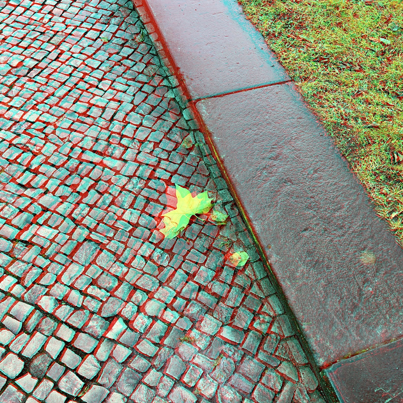 RC Anaglyphe 2023-05 - &raquo;AHORNBLATT&laquo; - iphone13PRO - &copy;rbockberlin2023