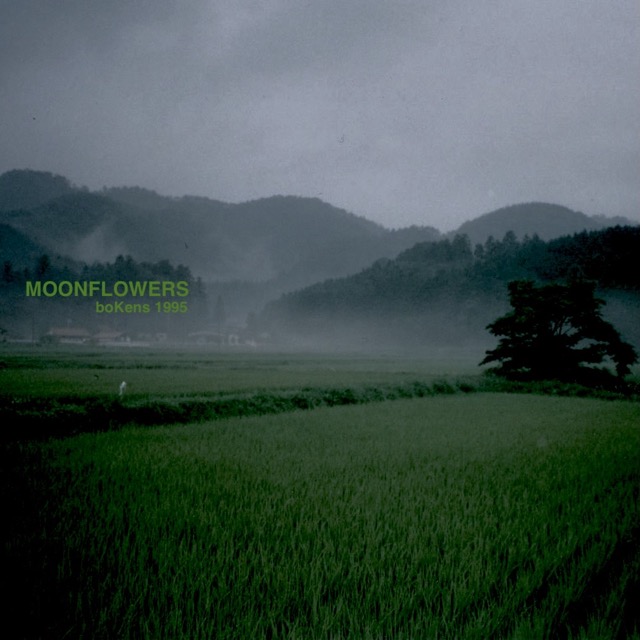 Cover *moonflowers*