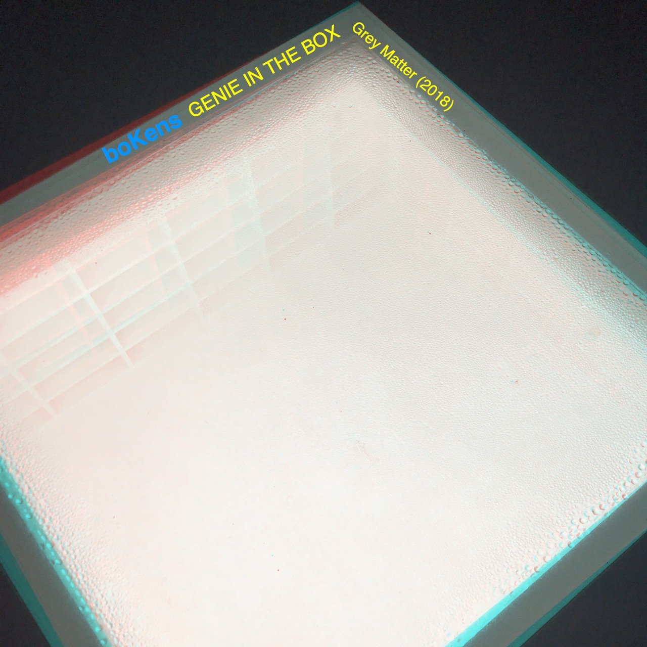 single-cover of *GENIE IN THE BOX*