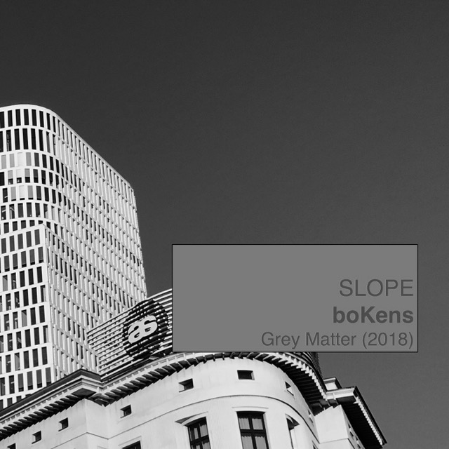 single-cover of *SLOPE*