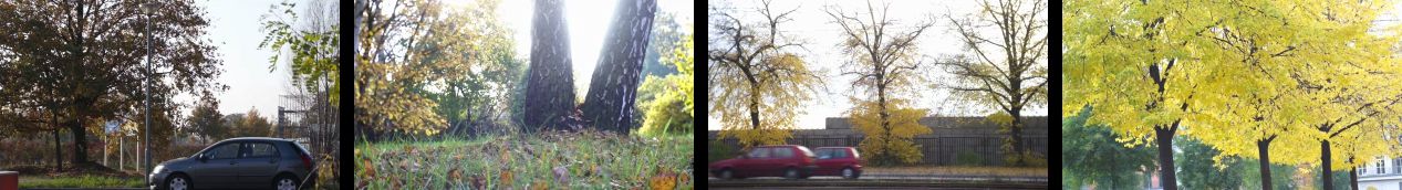 Screenshot &raquo;1-2-3-4&laquo;