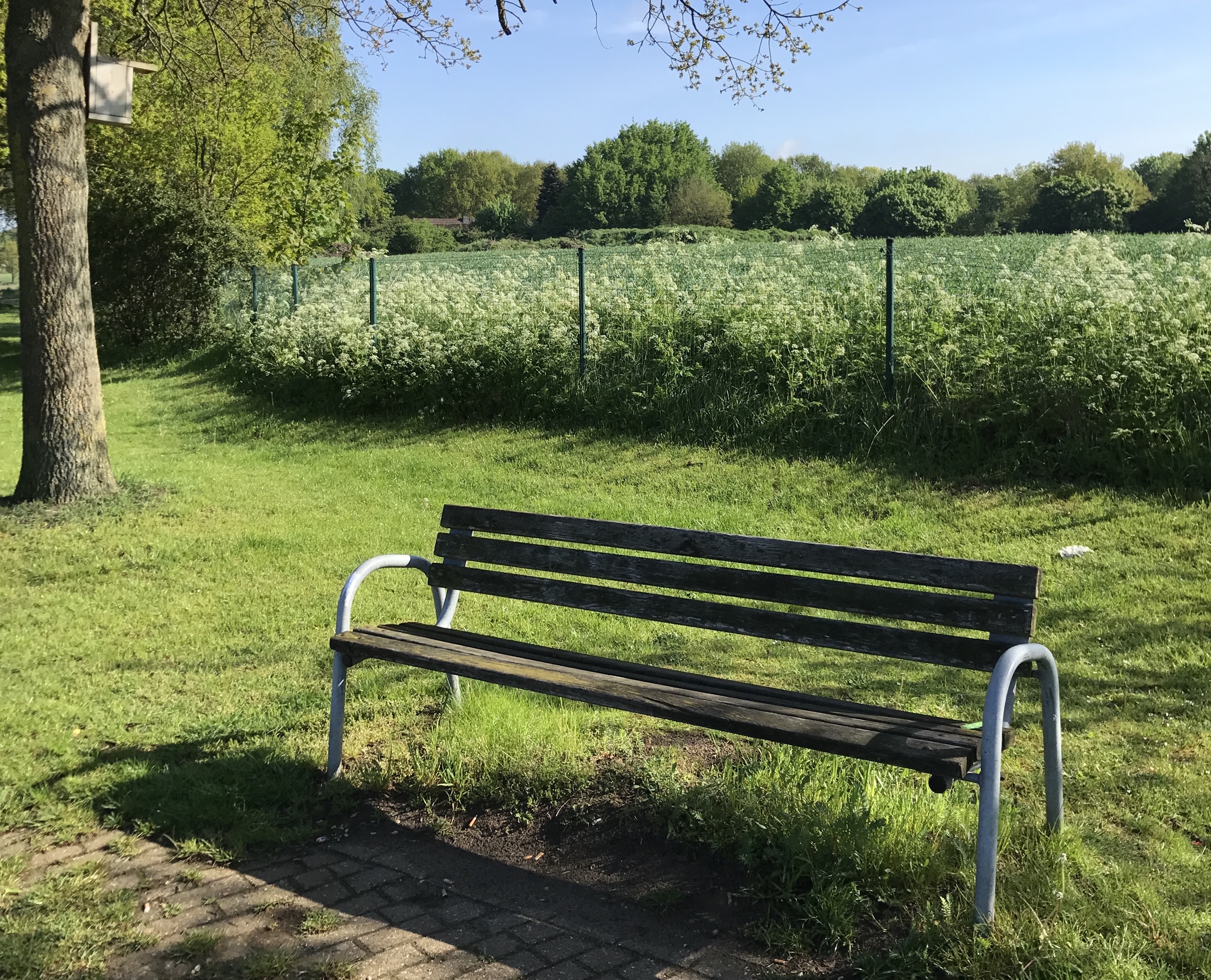 Screenshot &raquo;RAIN&laquo;