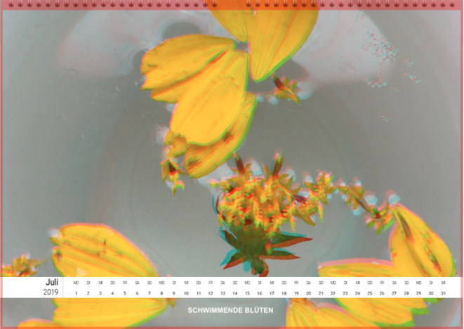 Schwimmende Bl&uuml;ten